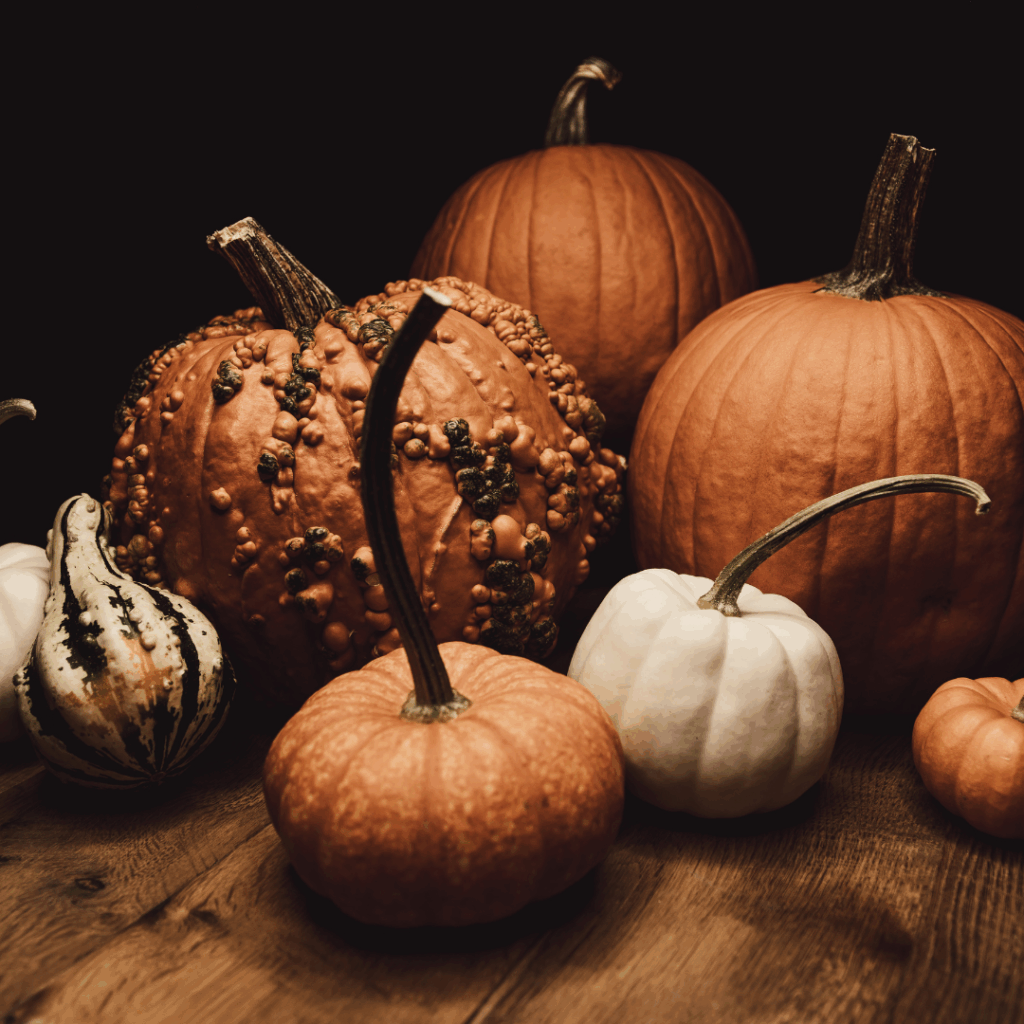 pumpkins pumpkins