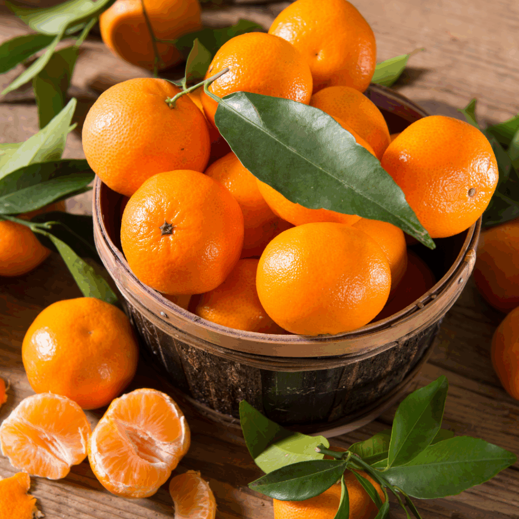 mandarin oranges mandarin oranges