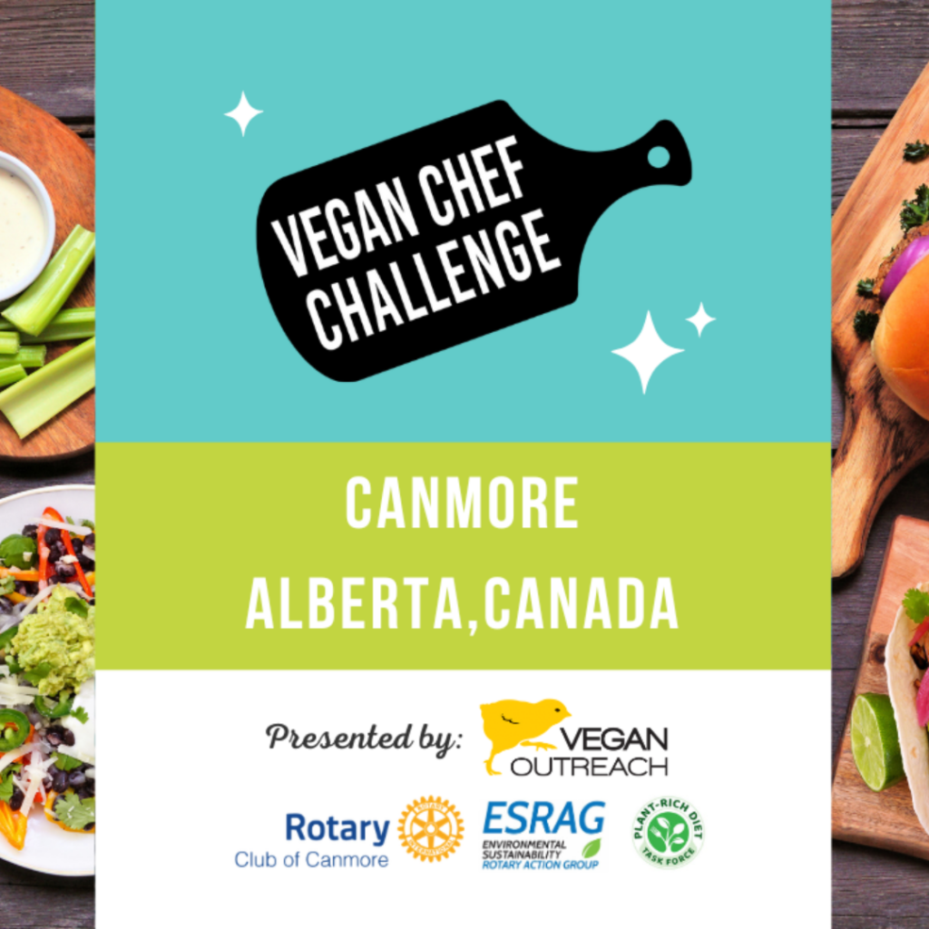 VEGAN CHEF CHALLENGE VEGAN CHEF CHALLENGE
