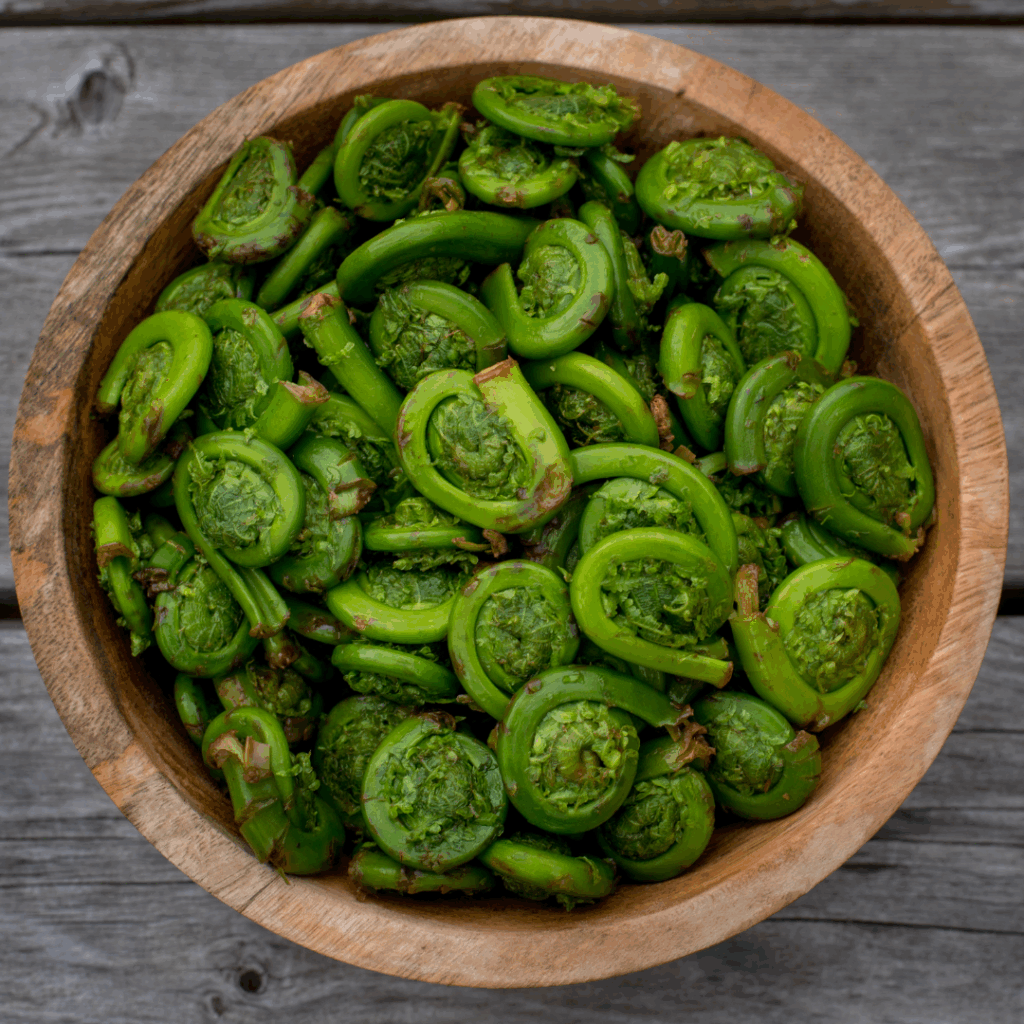 fiddleheads 1 fiddleheads