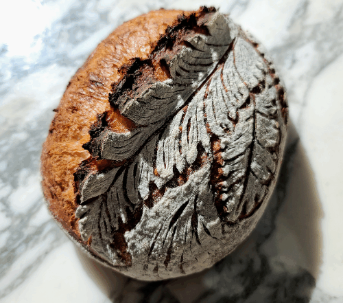 sourdough loaves