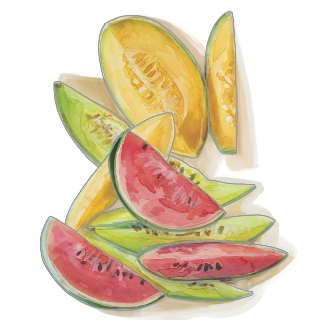 summer melons summer melons